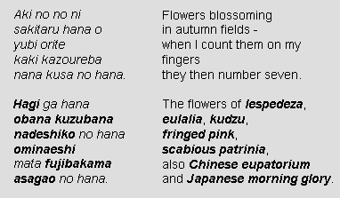 Seven Flowers of Autumn Poem